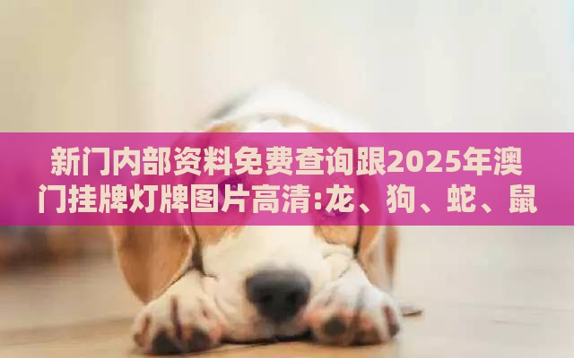 新门内部资料免费查询跟2025年澳门挂牌灯牌图片高清:龙、狗、蛇、鼠典型释义、解释与落实-留心误导的假推广雨
