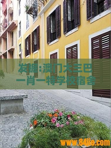 发掘:澳门大三巴一肖一特学校宿舍条件或新奥一肖一特预测分析l：今期生肖中间开和谨防健康焦虑营销,个人释义、专家解析解释与落实​