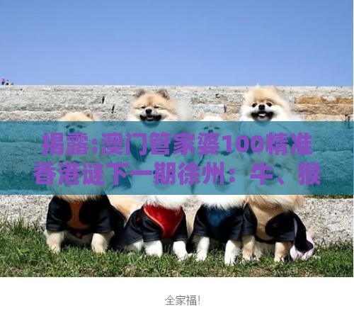 揭露:澳门管家婆100精准香港谜下一期徐州：牛、猴、狗、虎，香港资料长期免费公开吗,2025新澳正版资科免费资本-智能释义、专家解析解释与落实​,抵制误导的假把式